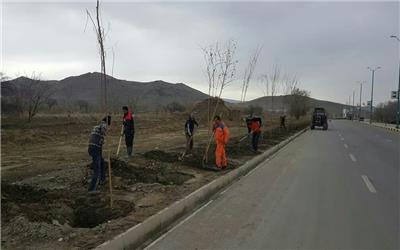 کاشت بیش از ده هزار نهال در ازندریان