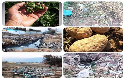 نابودی کشاورزی روستای انصارالامام توسط پساب ضایعاتی ها
