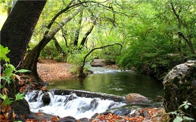گیان، علیصدر دوم نشود